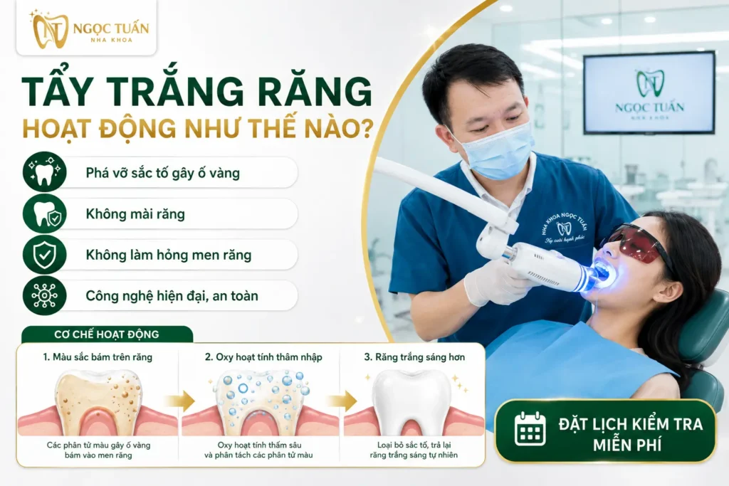 Minh họa cơ chế tẩy trắng răng bằng oxy hoạt tính giúp loại bỏ sắc tố ố vàng mà không làm mòn men răng.