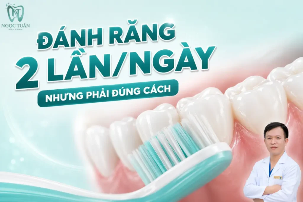 Đánh răng đúng cách 2 lần mỗi ngày giúp kiểm soát mảng bám và góp phần phòng ngừa sâu răng, viêm nướu.